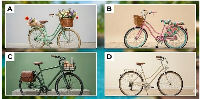 Hãy chọn 1 chiếc xe đạp nhé!