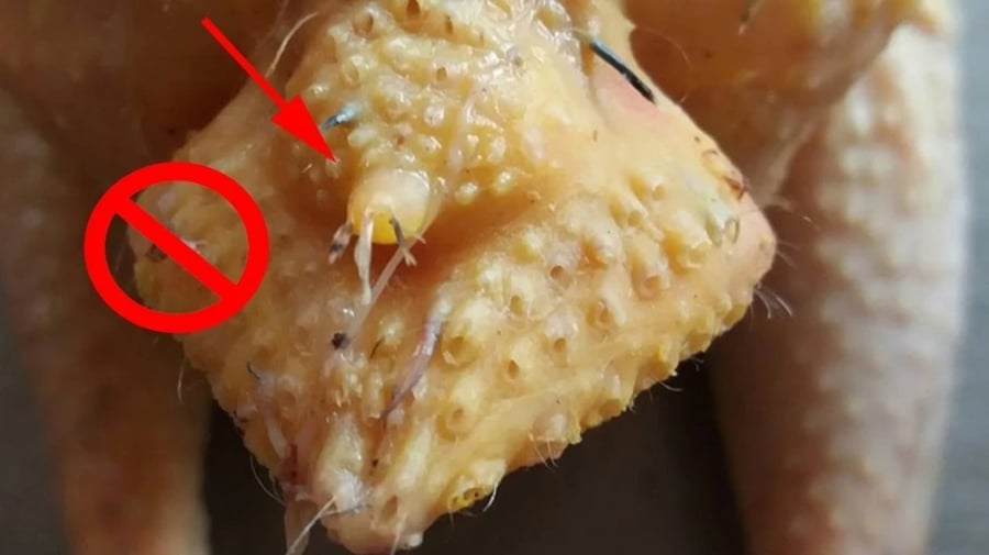 Phao câu gà (hay còn gọi là đuôi gà) là phần mà rất nhiều người yêu thích vì cho rằng béo, giòn và đậm đà. Tuy nhiên, đây lại là một trong những bộ phận bị cảnh báo nhiều nhất.    