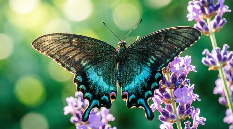 Người sinh ngày 22 thường được cho là có nội lực mạnh nhưng phát triển chậm