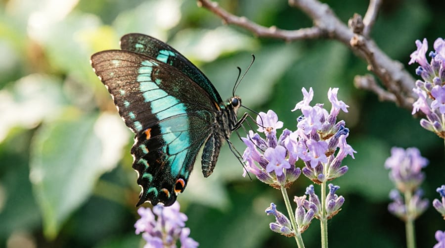 Người sinh vào mùng 5 thường được cho là có khởi đầu khá thử thách