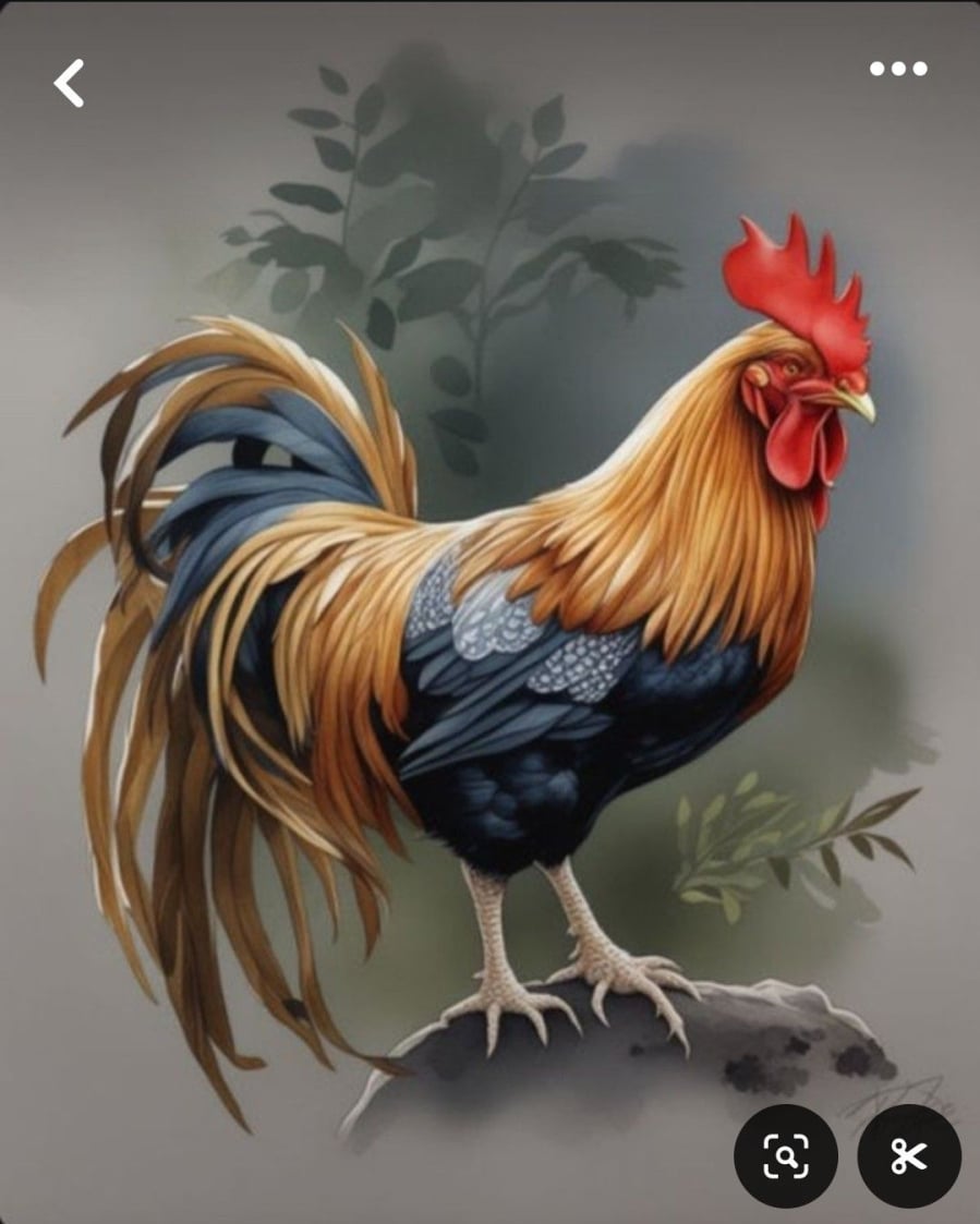 Tuổi Dậu làm nhiều nhưng dễ bị hiểu sai