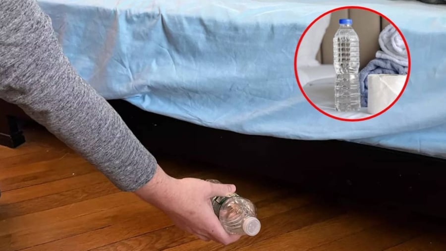 Ném chai nước vào gầm giường khách sạn ngay khi nhận phòng là một biện pháp đơn giản giúp bạn kiểm tra mức độ an toàn của căn phòng.