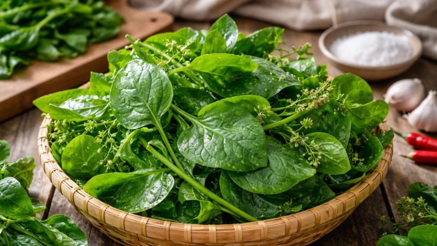 Không phải ai cũng nên ăn nhiều rau mồng tơi