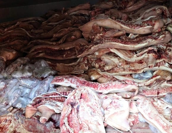 Các chuyên gia nhấn mạnh, theo quy định, thịt lợn mắc bệnh phải được tiêu hủy.