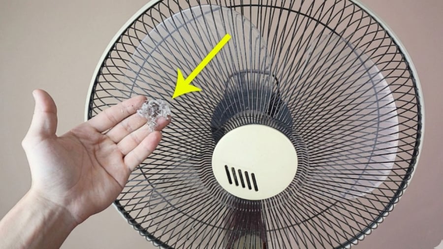 Bạn có thể làm sạch quạt mà không cần tháo lồng.