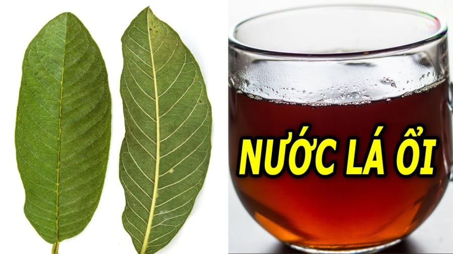 5 người nên thường xuyên uống nước lá ổi