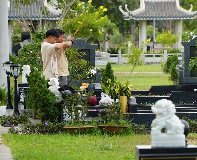 1774881469-tao-mo-7528-width640height518