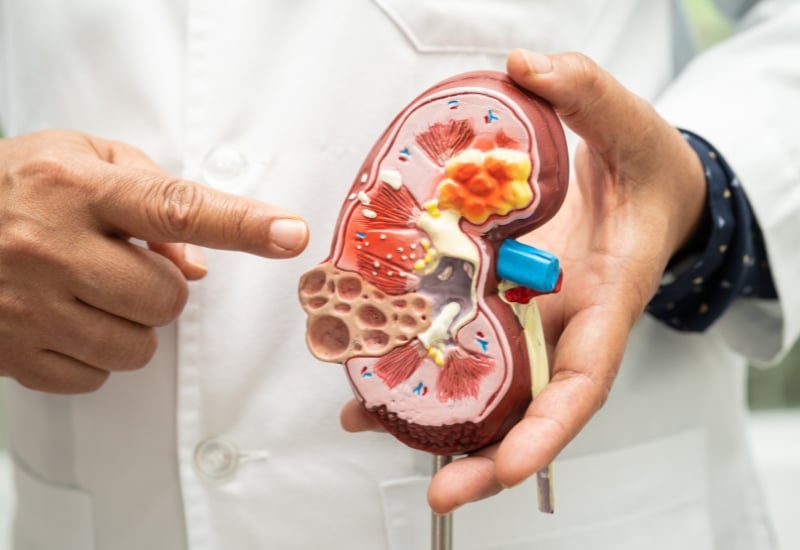 Ngứa da, khó chịu về đêm    