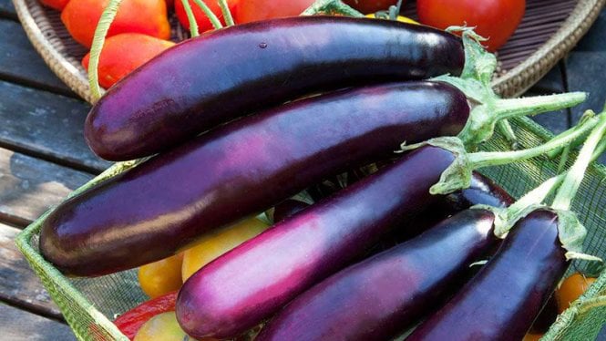 Cà tím tốt cho sức khỏe của bạn