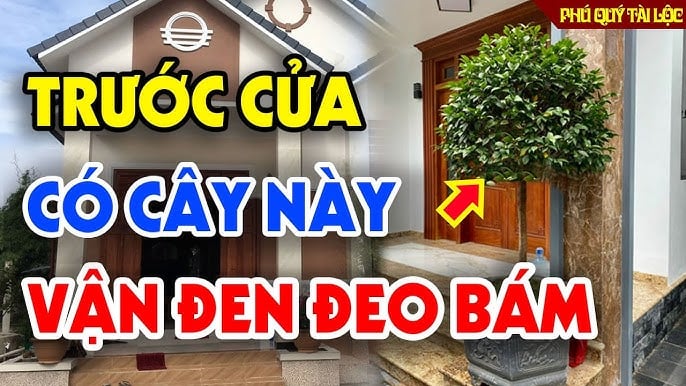 4 thứ mọc ở trong vườn hút cạn lộc may, nhổ ngay mà giữ Tiền tài
