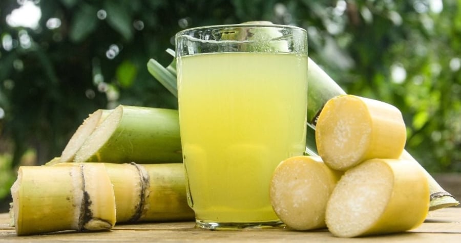 Sự thật là, mía bản thân không độc, mà nguy cơ nằm ở những cây mía dễ bị mốc vào mùa này.