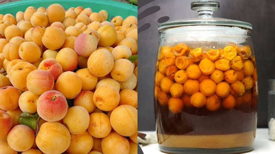 Nên sử dụng mơ và đường theo tỷ lệ 1:1 để mơ ngâm lâu hỏng.