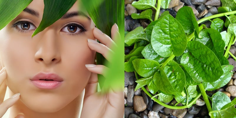 Một trong những nguyên nhân khiến da xỉn màu là do sự tích tụ tế bào chết và melanin. 