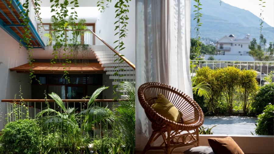 Mẹo làm nhà mát hơn không cần bật điều hòa 21 Trồng cây xanh là cách làm mát nhà hiệu quả.