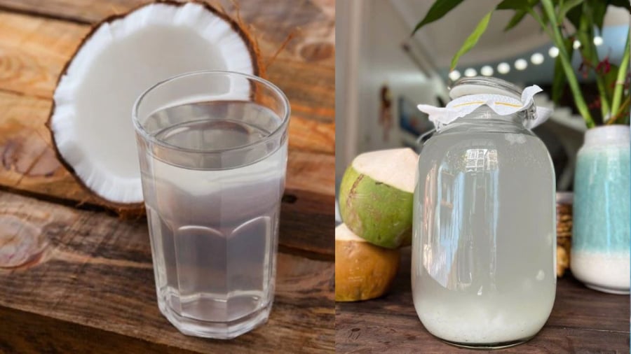 Nước dừa lên men mang lại nhiều lợi ích cho sức khỏe.