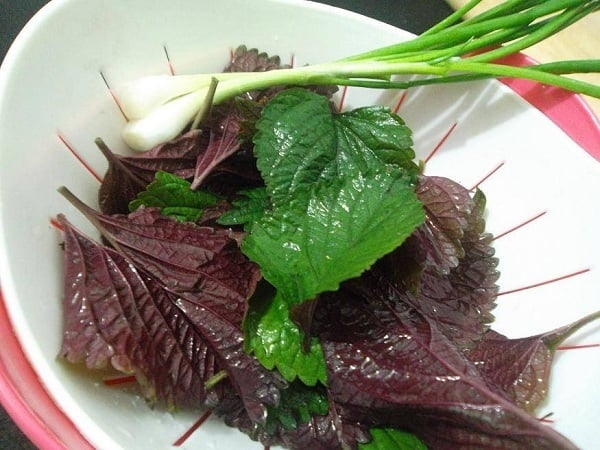 3 kiểu người không được ăn lá tía tô bừa bãi