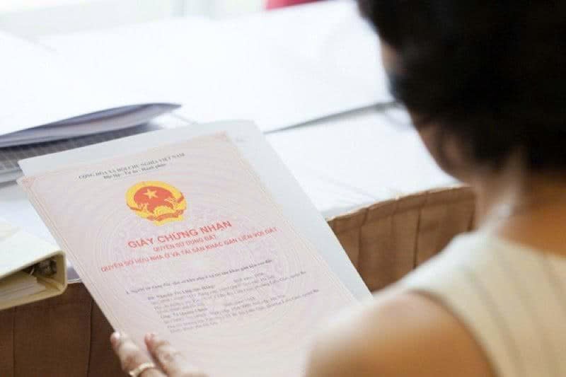 z7735913405729_a1a72db575a2b5ee32c4c374f6f0f351