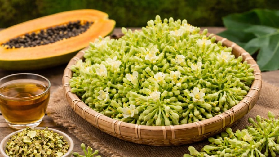 Chú ý khi dùng hoa đu đủ đực