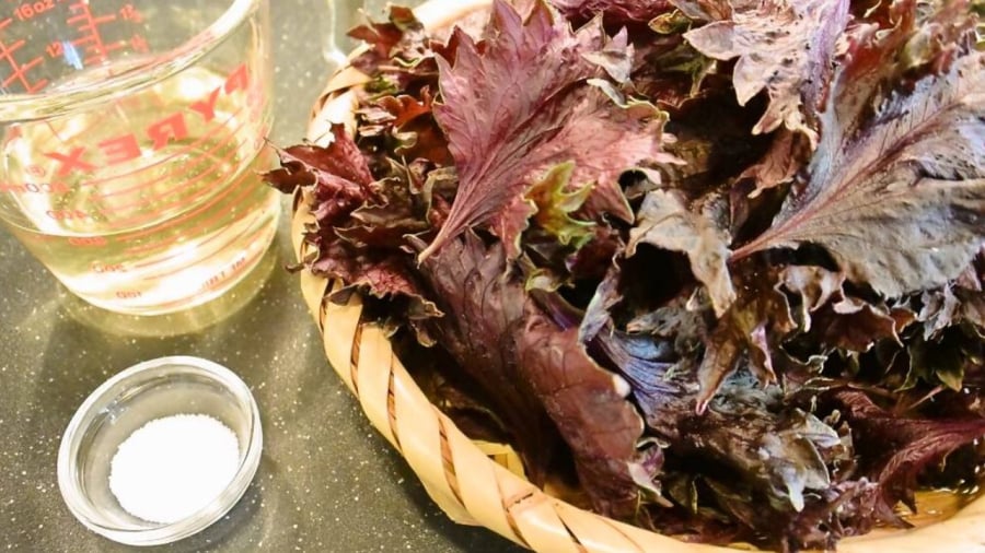 Để làm giấm tía tô, bạn chỉ cần 2 nguyên liệu đơn giản là tía tô tươi và giấm gạo nguyên chất.