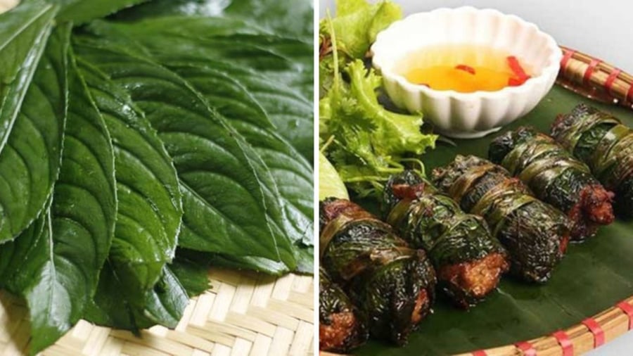 Loại lá cuốn chả thơm ngon gấp 3 lần lá lốt, bổ từ trong ra ngoài