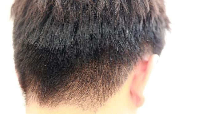 Tóc bạc thường được xem là dấu hiệu của tuổi tác, nhưng ở những người có xu hướng sống thọ, quá trình bạc tóc thường đến muộn hơn và diễn ra từ từ.    