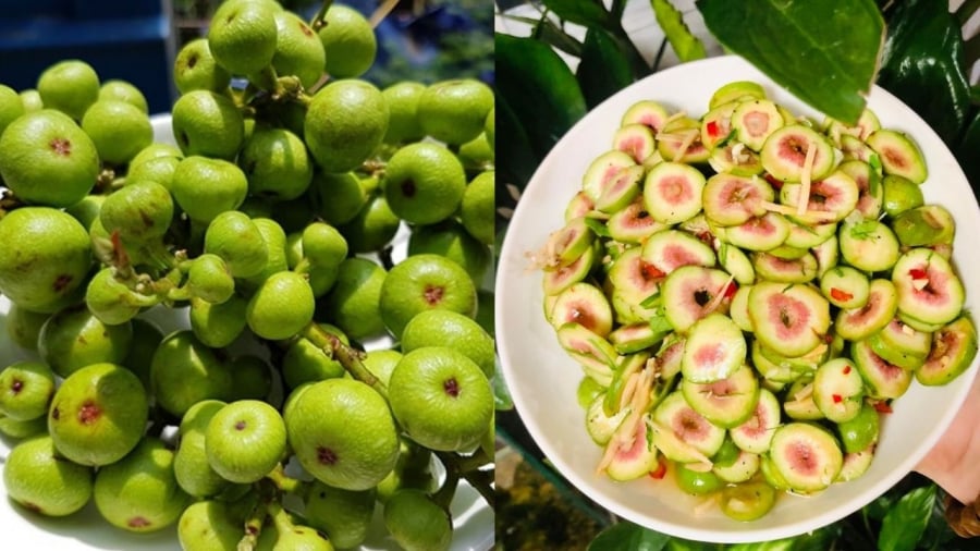 Ăn sung đúng cách sẽ mang lại nhiều lợi ích cho sức khỏe, đặc biệt là với người có bệnh liên quan đến huyết áp, đường huyết.