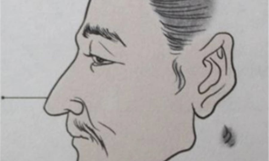 Hiểu theo nghĩa rộng, “người thấp bé” ở đây không chỉ nói đến thể trạng nhỏ bé hay ngoại hình khác biệt, mà có thể ám chỉ những người mang mặc cảm tự ti hoặc từng chịu sự thiệt thòi trong cuộc sống.