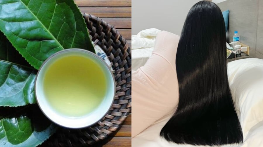 Gội đầu bằng nước lá chè xanh mang lại nhiều lợi ích cho mái tóc.