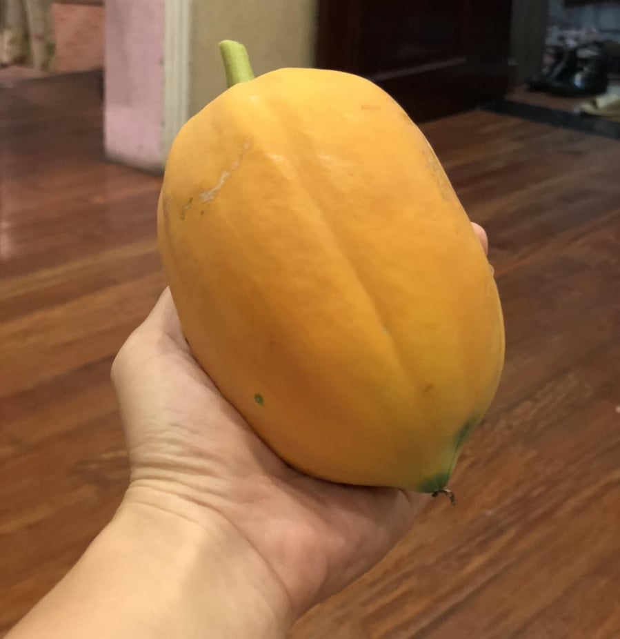 Với dưa hấu, bạn có thể kiểm tra độ ngon bằng cách vỗ nhẹ vào quả, nếu nghe tiếng “bộp bộp” vang và chắc tay thì thường là dưa chín ngọt. 