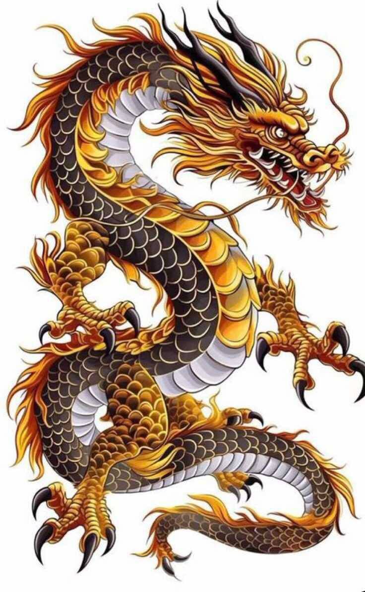 Tuổi Thìn kết nối đúng người mở ra đúng việc