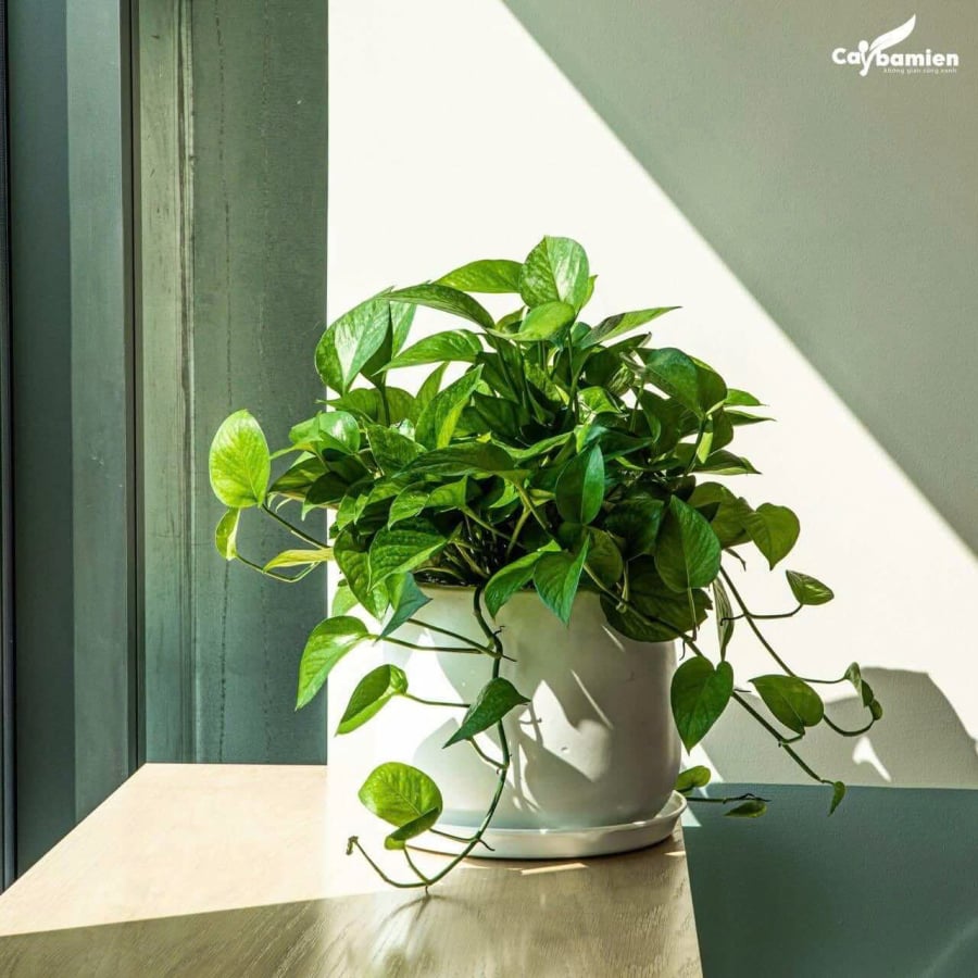 z7765155948408_b7bdf4762a63f6b76bc7a456d9e7a9f0