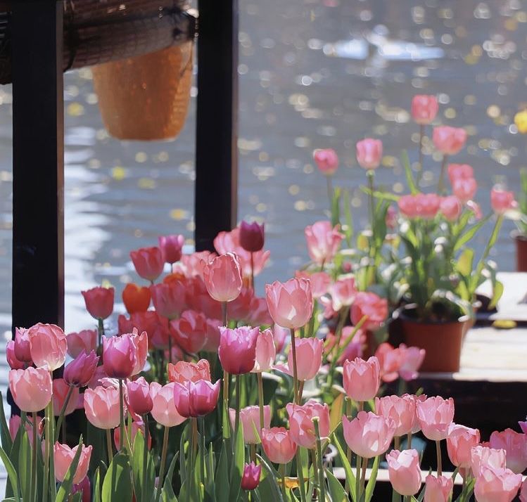 682c327668ff6766e660b356a6d2f253