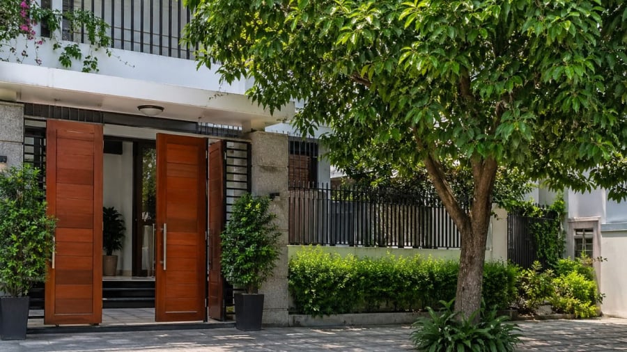 Chú ý khi trồng cây trước nhà
