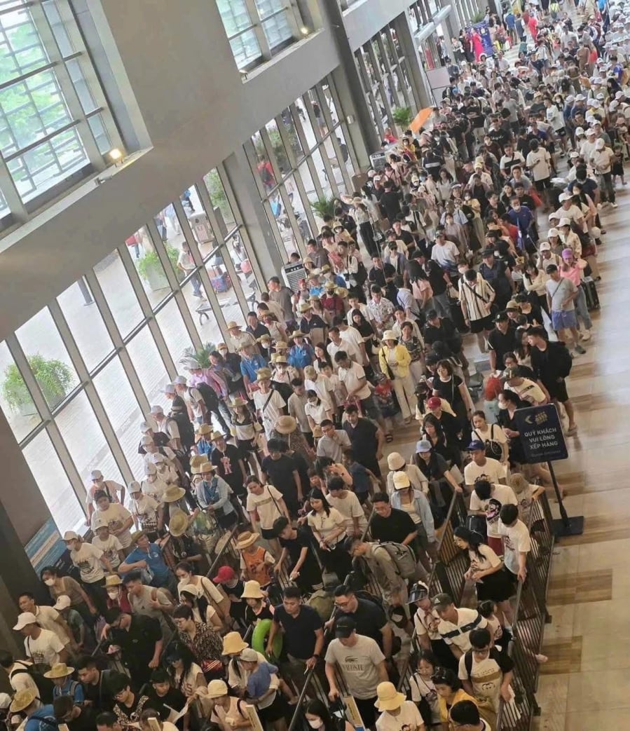 Để giảm tải và phục vụ nhu cầu đi lại cao điểm mùa hè 2026 (từ cuối tháng 4 đến hết tháng 8), tần suất hoạt động của tuyến phà Đồng Bài - Cái Viềng đã được điều chỉnh tăng từ 23 lên 38 chuyến mỗi ngày.