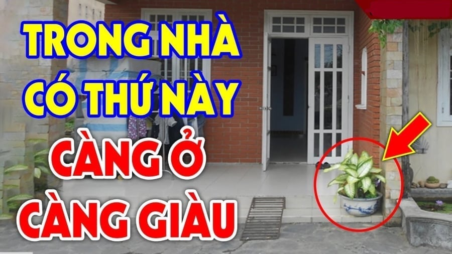 nha giau