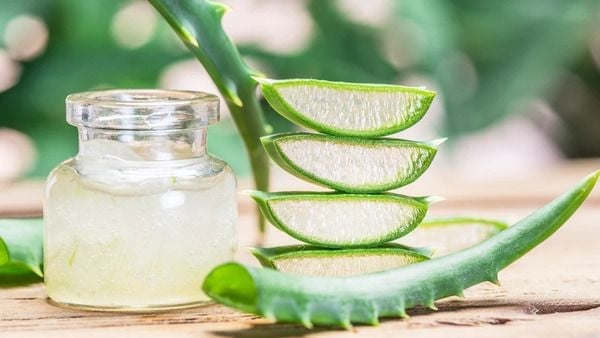  Không chỉ giúp dưỡng ẩm, phần gel trong lô hội còn chứa vitamin E và vitamin C – hai chất chống oxy hóa hỗ trợ bảo vệ tóc trước tác động từ môi trường.