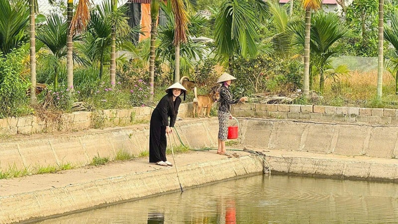 Từ nữ thủ khoa đại học đến cuộc sống gắn bó với trang trại quê nhà của Cao Thị Liên.