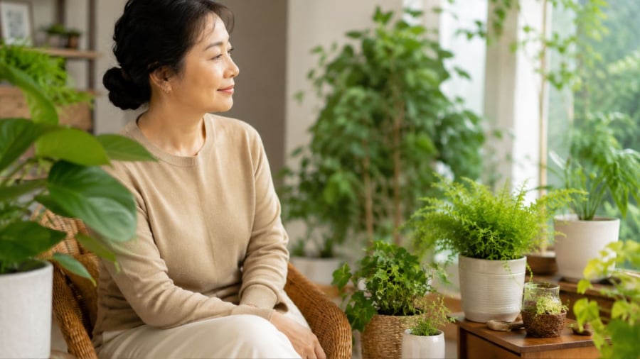 Tâm lý thay đổi, xu hướng chọn cây cảnh cũng thay đổi theo độ tuổi