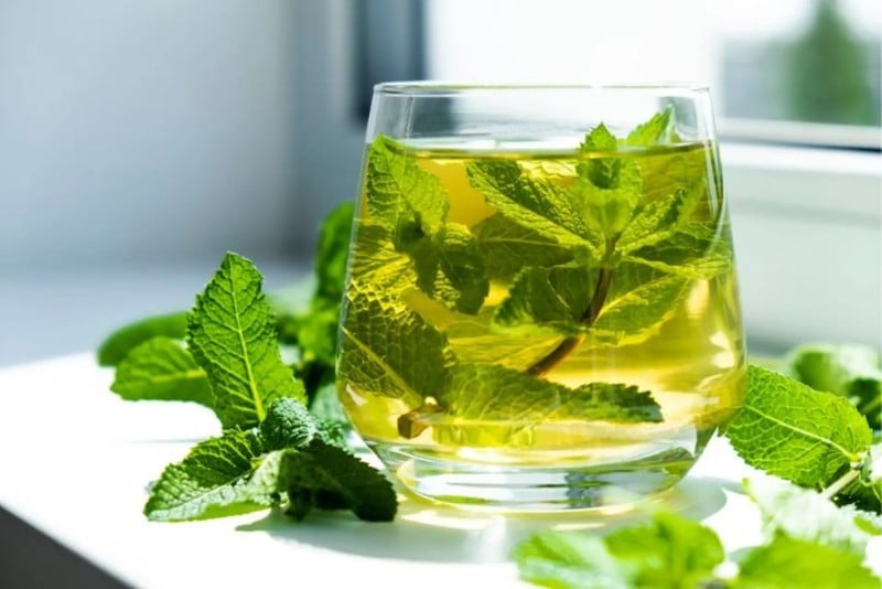 Bên cạnh đó, trà bạc hà còn chứa các chất chống oxy hóa giúp bảo vệ tế bào trước tác động của gốc tự do — yếu tố liên quan đến quá trình lão hóa sớm của cơ thể và làn da.    