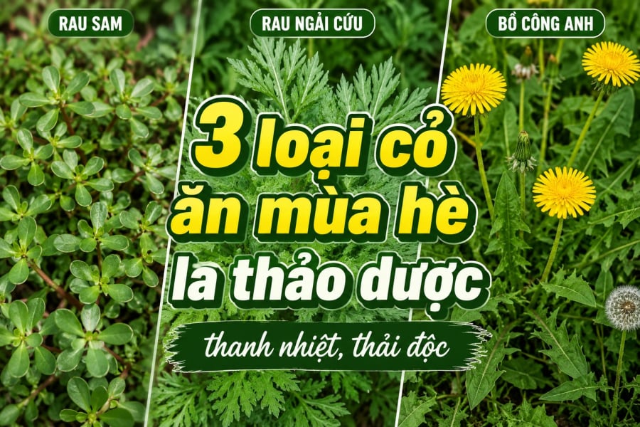 mùa 