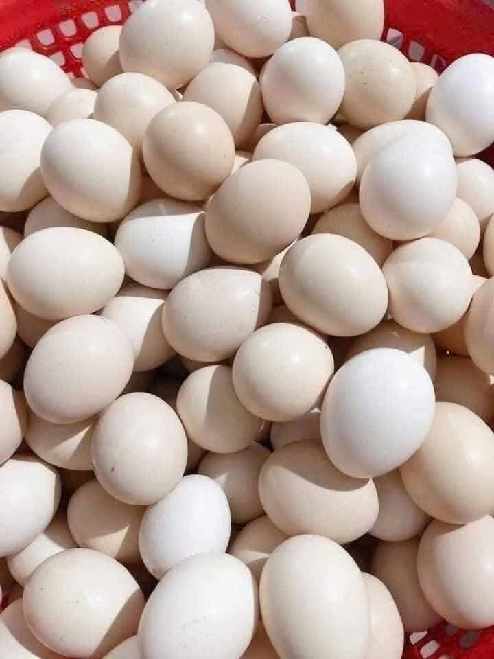 Cất trứng trong tủ lạnh, để cánh tủ là sai. Hãy nhớ vị trí vàng dưới đây 13 Cât trứng rất quan trọng