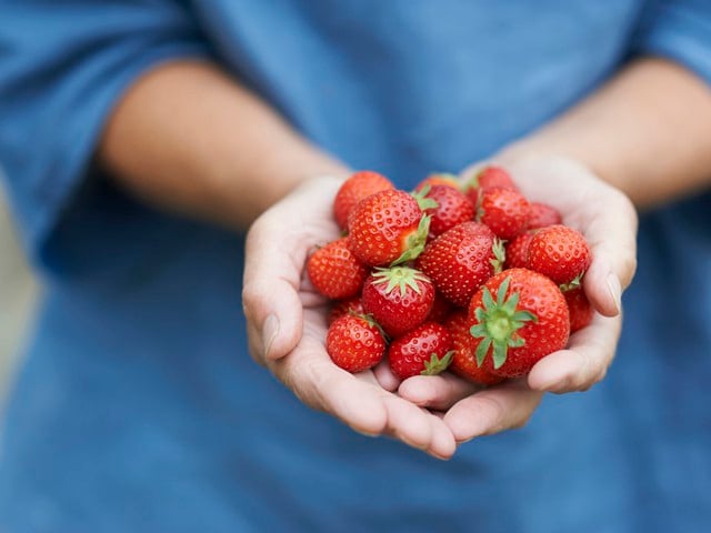 Loại quả này chứa vitamin C và anthocyanin, giúp hỗ trợ bảo vệ làn da trước các tác động từ môi trường.