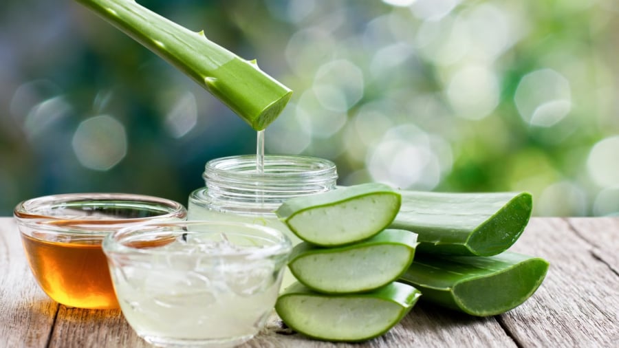Nha đam (lô hội) nổi tiếng với công dụng cấp nước, làm dịu và hỗ trợ cải thiện độ sáng cho làn da.    