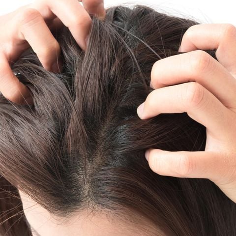 Gội đúng cách, tránh đưa tay lên nhiều là cách giảm bết tóc trong ngày hè