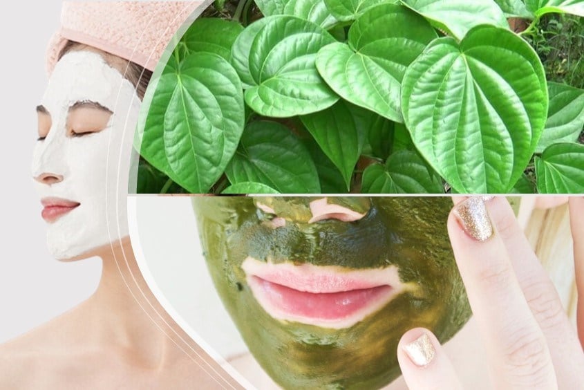 Cách làm đẹp từ lá trầu không