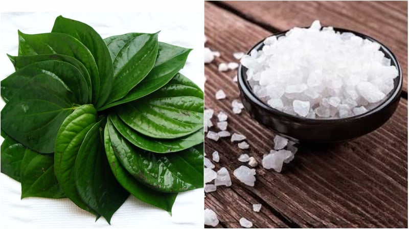 Mẹo vặt từ lá trầu không ít người biết