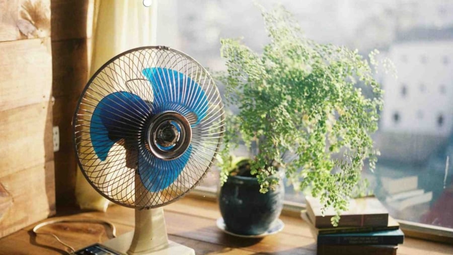 Khi không khí bên ngoài đang mát hơn trong nhà, bạn có thể để quạt hướng ra ngoài cửa sổ hoặc cửa mở với mục đích đẩy hơi nóng trong phòng ra bên ngoài.