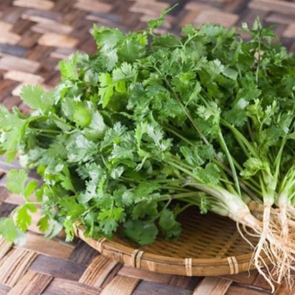 Rau mùi thải độc gan