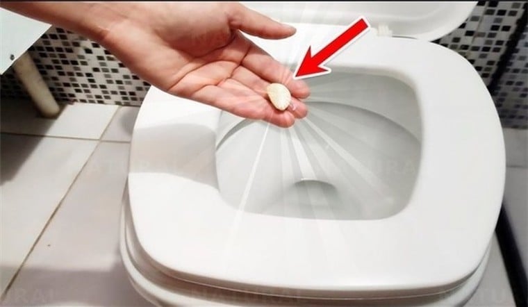 Nếu bạn muốn tăng gấp đôi hiệu quả khử mùi và làm trắng, bạn có thể pha một ít trà tỏi (đun sôi vài tép tỏi với nước), để nguội rồi đổ vào bồn cầu và ngâm qua đêm.