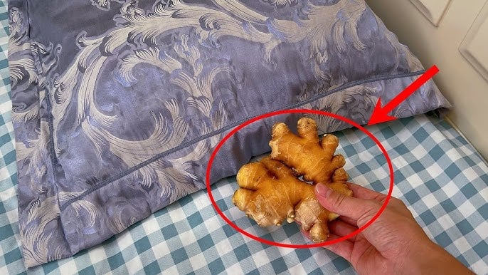 Để 1 nhánh gừng dưới gối, sáng ra thấy ngay điều bất ngờ